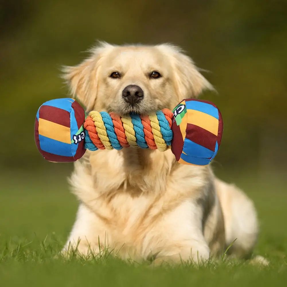 Mancuernas de arcoíris para perros, juguete de dentición resistente a las mordeduras, dientes duraderos, suministros para mascotas, tacto cómodo