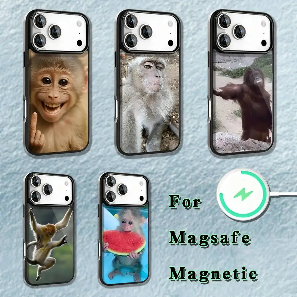 

Cute Funny Monkey Phone Case For iPhone 17,16,15,14,13,12,11,Pro,Max,Plus,Mini,SE4,E Magnetic Magsafe Wireless Charging