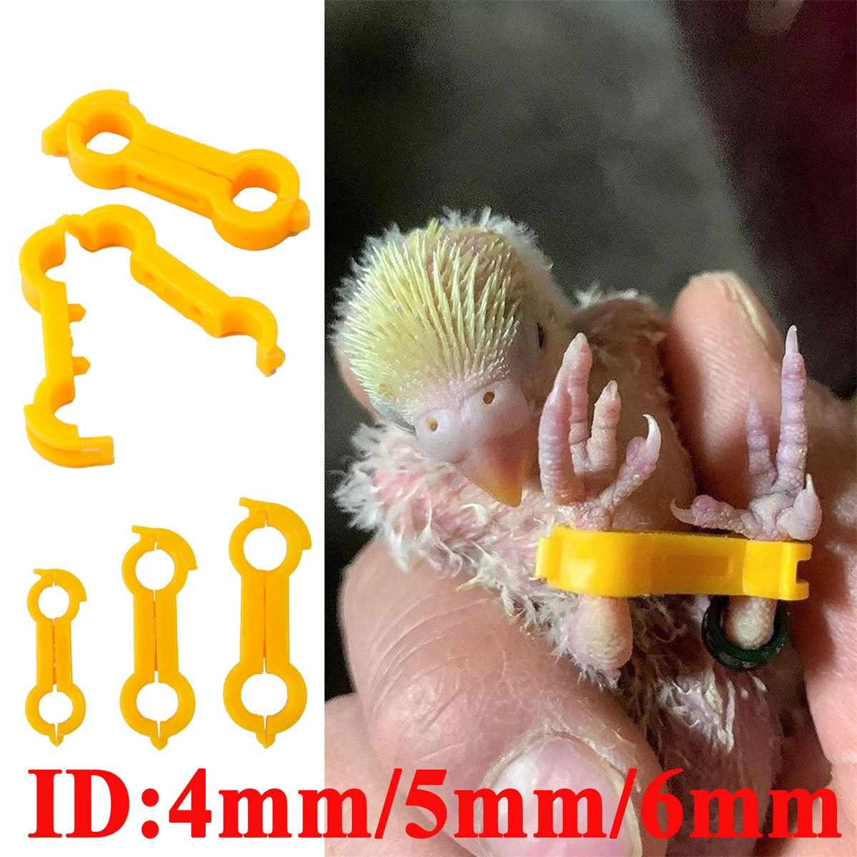 3Pcs Chick Leg Stabilizer Baby Birds Splay Leg Correction Band Newborn Parrot Leg Hobble Brace Support useful Bird Legs Supplies