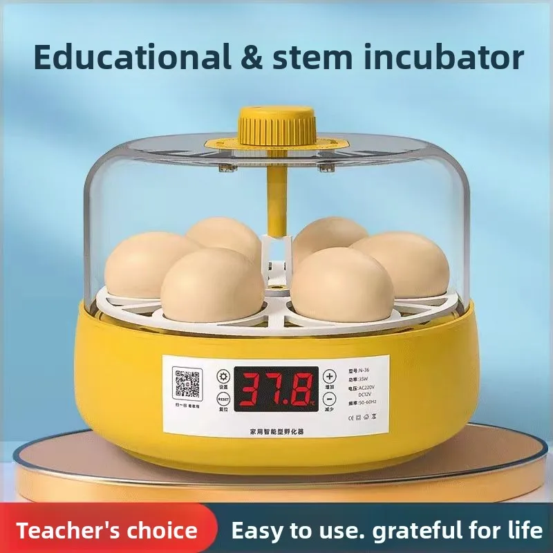 

Инкубатор для яиц Rutin Chicken Chick Маленький домашний детский мини-интеллектуальный полностью автоматический