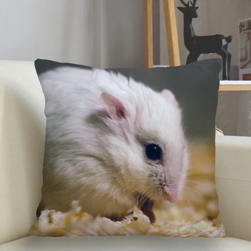 Taie d'Oreiller Mignonne en Forme de Hamster, Couverture Carrée avec Fermeture Éclair