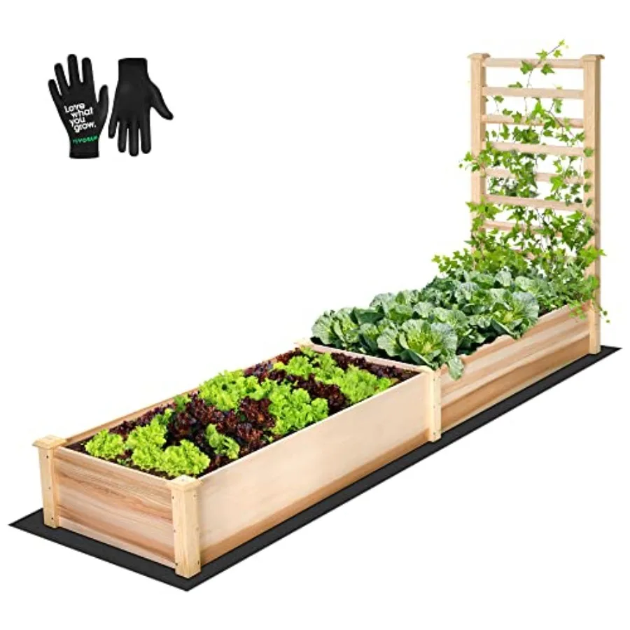Wooden Raised Garden Bed 48 x 24 x 30 Inches Outdoor Wood Planter Box with Gloves and a Liner with Trellis for Vine Climbing fo