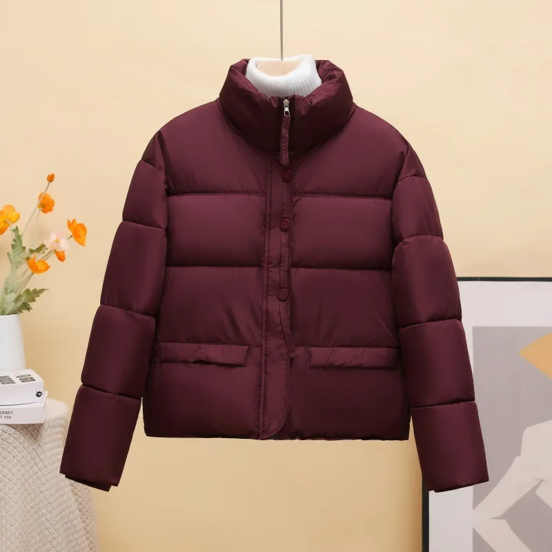 Short Women Parkas Coats Oversize Jacket Solid Stand Collar Zipper Long Sleeves Straight Thick Casual Office Lady 2025 Winter