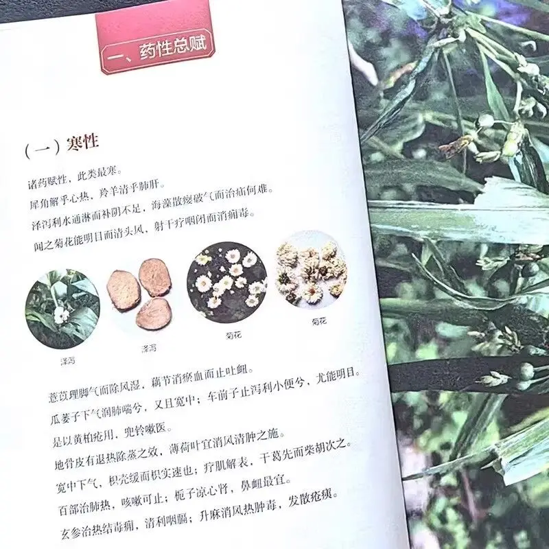 The Complete Book of Authentic Medicinal Properties with Color Illustrations and Traditional Chinese Medicine Rhymes