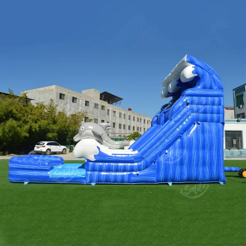 Commercial Grade Inflatable Dolphin Water Slide Dual Lane with Splash Pool for Party Rental