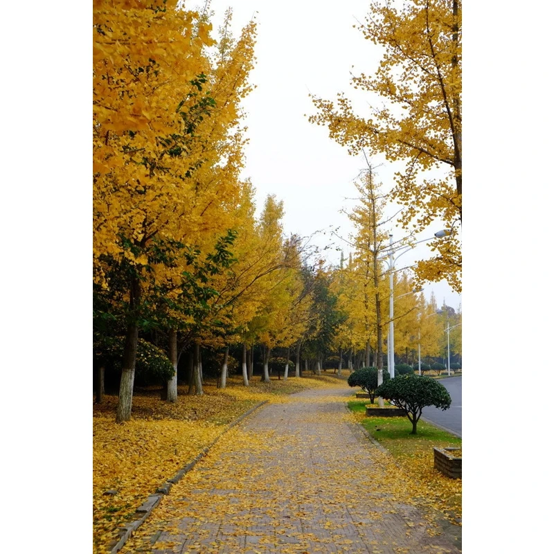 

Outdoor Full Car Cover For Jetour T2 with Reflective Strips Waterproof Snowproof Dustproof UV Protection Auto Accessories