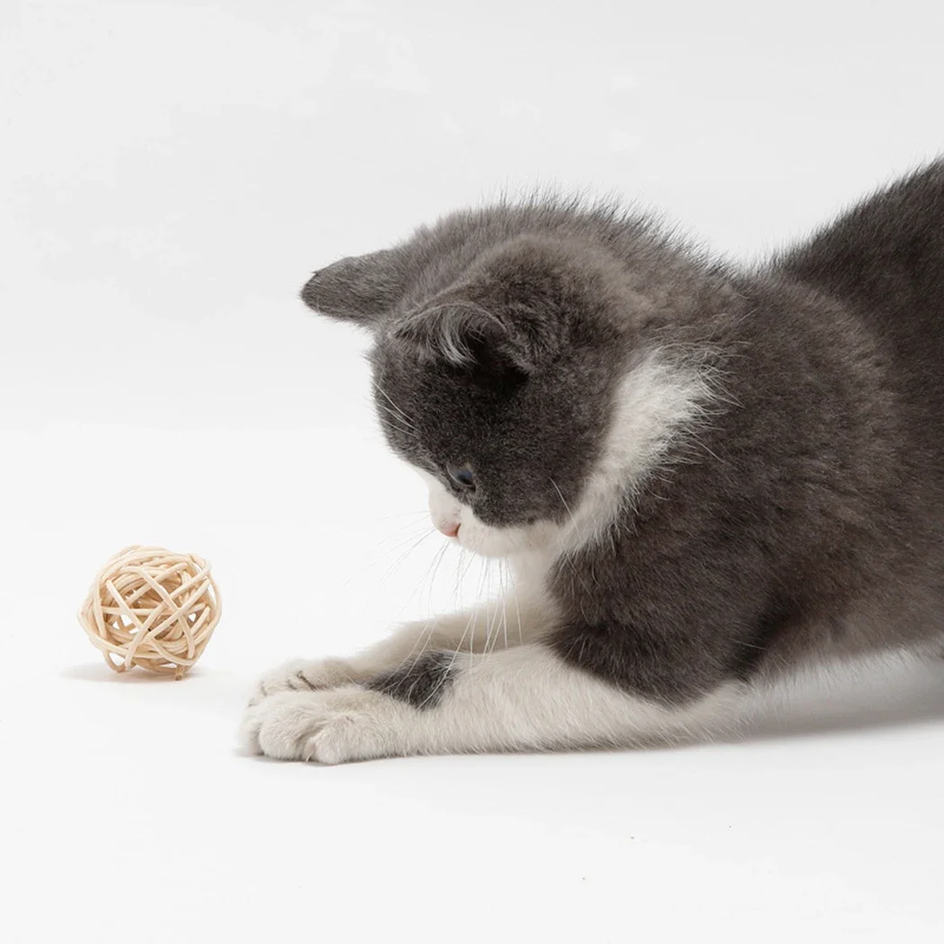 Pet rattan bola com pena falsa, brinquedo interativo para gato e gatinho, 2pcs