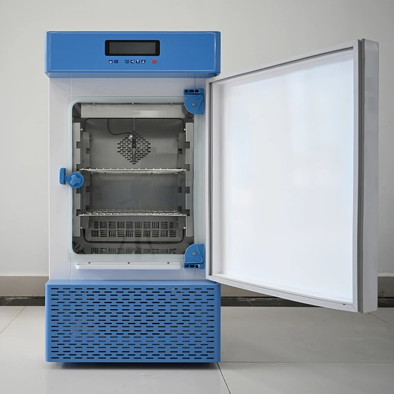 Manufacturer Constant Temperature And Humidity Incubator Laboratory