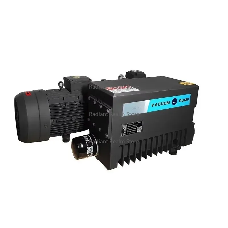 

RA0040/063/100F Rotary Vacuum Pump High Quality Oil Rotor Vane Industrial Pump