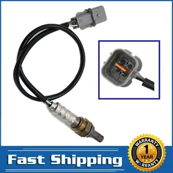Oxygen Sensor 234-4192 for Hyundai Tiburon Santa Fe Sonata Tucson Kia Magentis Optima Sportage 2002-2009 Downstream Rear