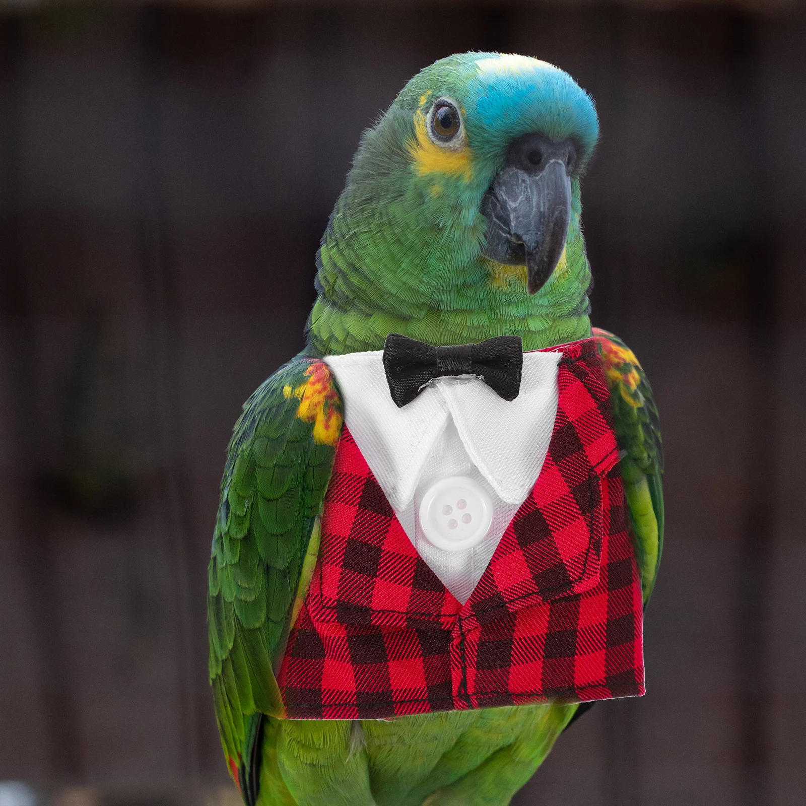

Stylish Parrot Cosplay Clothes Bird Gentleman Suit Warm Comfortable Pet Supplies Parrot Clothes Shirt Bird Costume