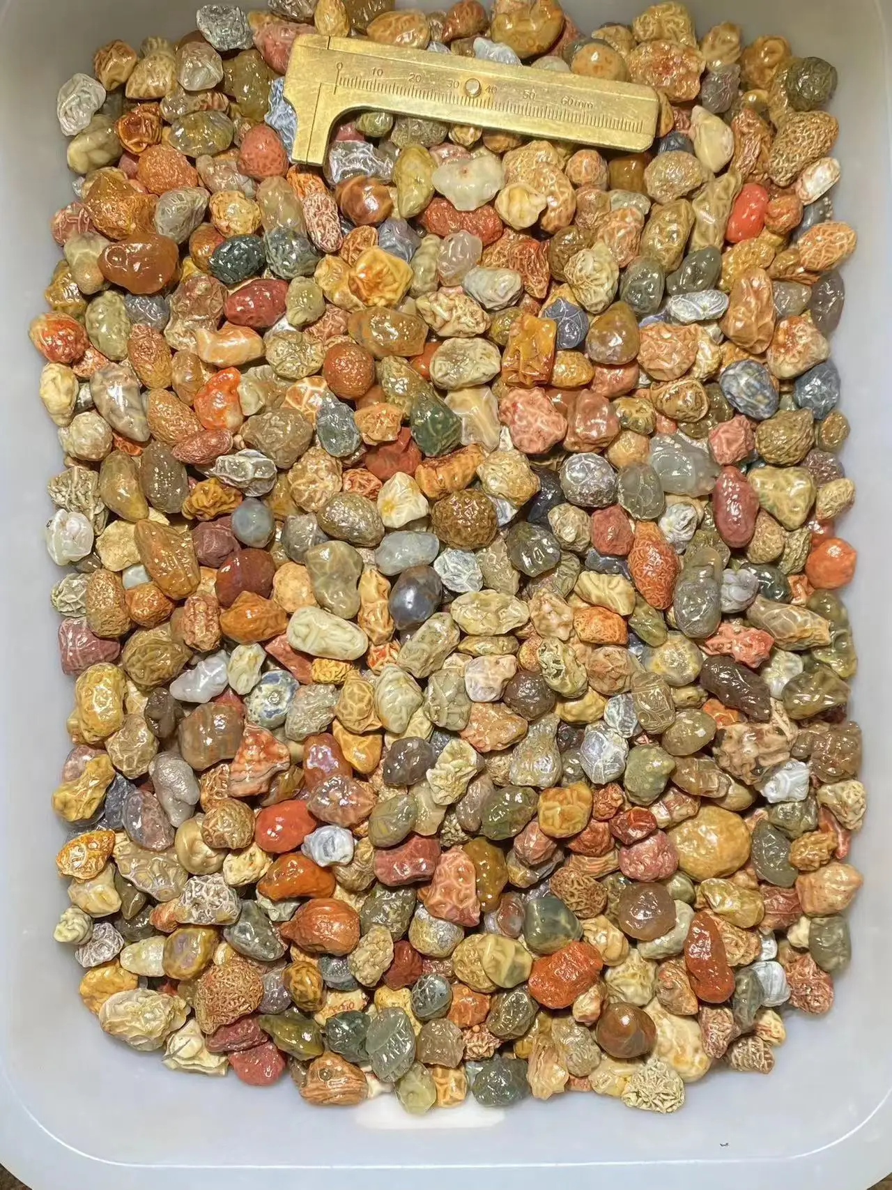 

1bag/lot Natural magical rare rough stones red green yellow colorful Gobi jade wholesale in bulk without any treatment jewelry