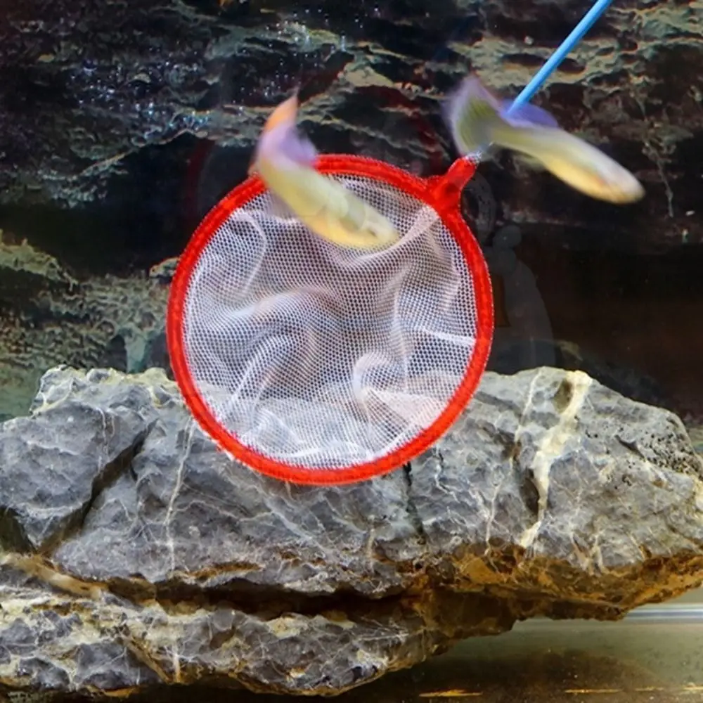 New Plastic Tiny Fish Tank Net Soft Food Residue Debris Fine Net Mesh Random Color Skimming Net Small Ponds