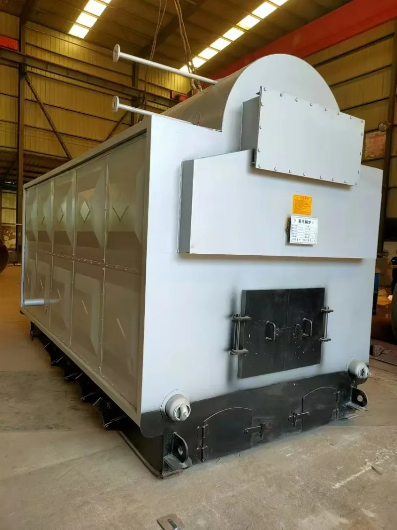 Steam Boiler Horizontal Water Tube Low Pressure 1-6 Ton/h Biomass Pellets High Efficiency 85%-87% Industrial Custom