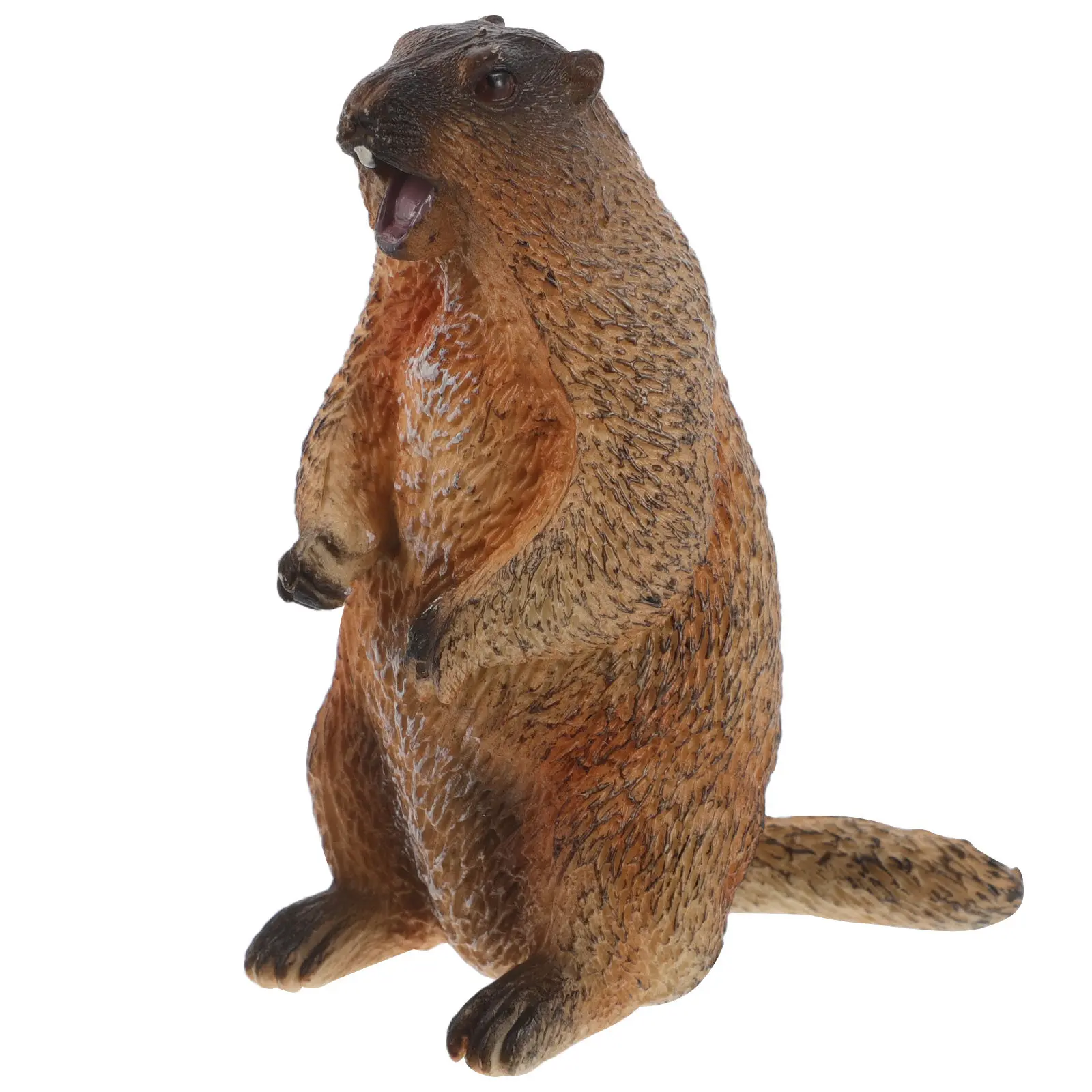 

Standing Groundhog Wild Animal Simulation Educational Desktop Ornament for Children Cognitive Development Realistic Groundhog