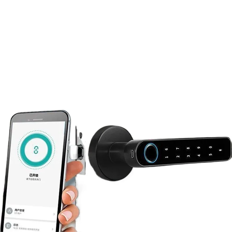 Oumedi Bluetooth Fingerprint Door Lock for Smart Home Office Glass Door with Graffiti Design Touchscreen Keypad Mobile App
