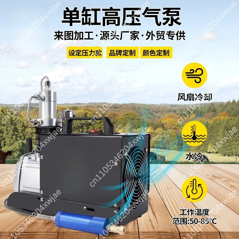 Portable 30Mpa High Pressure Single‑Cylinder Air Compressor 220V Electric Inflator Built‑In Auto‑Stop Safety Filling Accessory