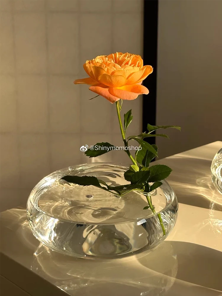 Creative Glass Vase Decoration Home Transparent Ball Round Bottle French Glass Ball Ins Japanese Flower Insert Ware