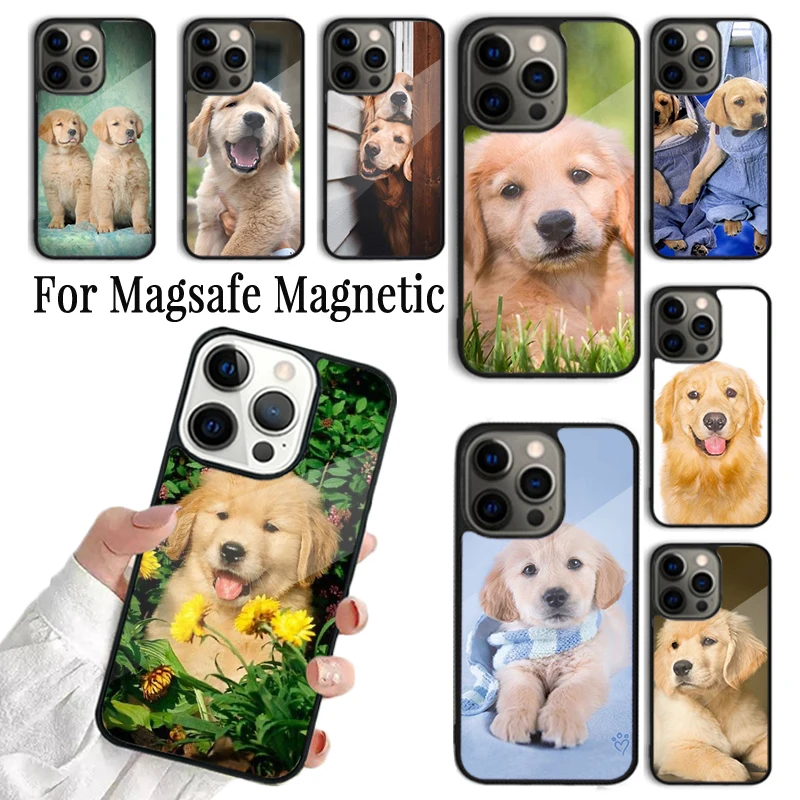 Coque Phone Case For iPhone 16 15 14 13 12 Mini 11 Pro Max Plus Magsafe Magnetic Wireless Charging Cover Labrador Puppy Dog