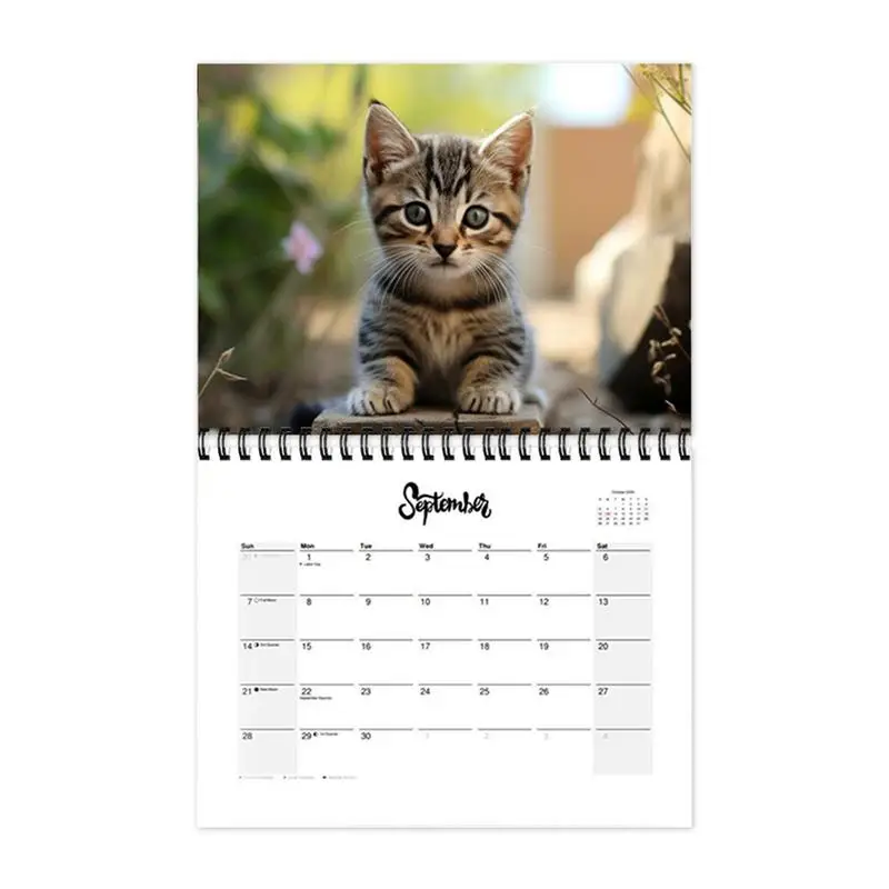 

Cat Calendar 2025 Cute Cats Monthly Wall Calendar Hangable 2025 Family Planner & Daily Organizer 21X28cm Adorable Cat Calendar