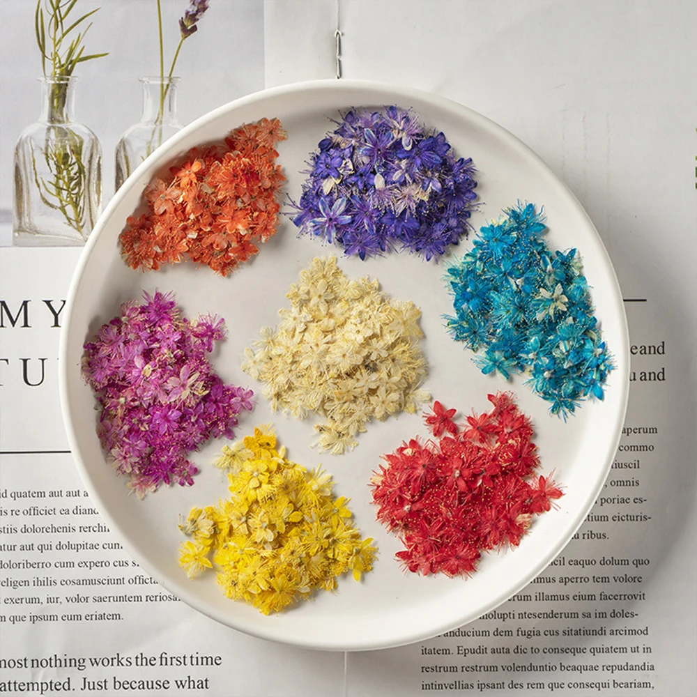 50 Pcs Dried Real Flowers Multicolor Mini Natural Floral Diy Art Craft Epoxy Resin Candle Making Jewellery Home Party Decorative