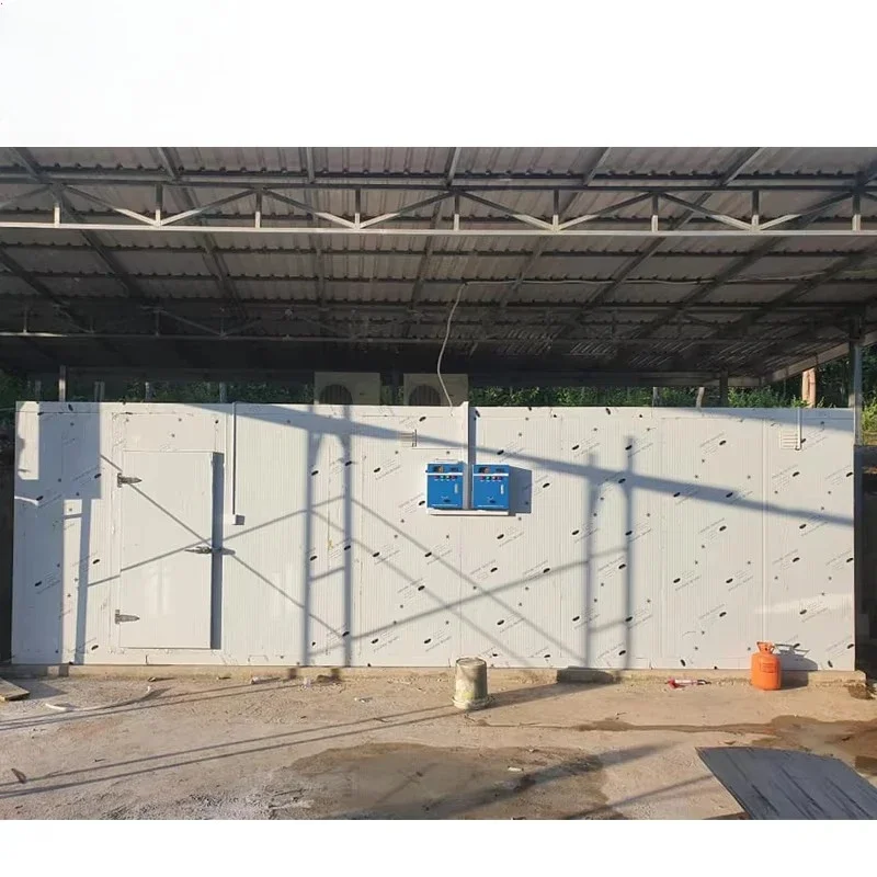Customized Walk In Cold Room Efficient Cooling Storage Equipment For Meat Fish Frozen Food Preservation