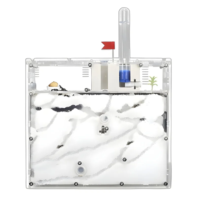 As60-Ant Farm Four-… - image