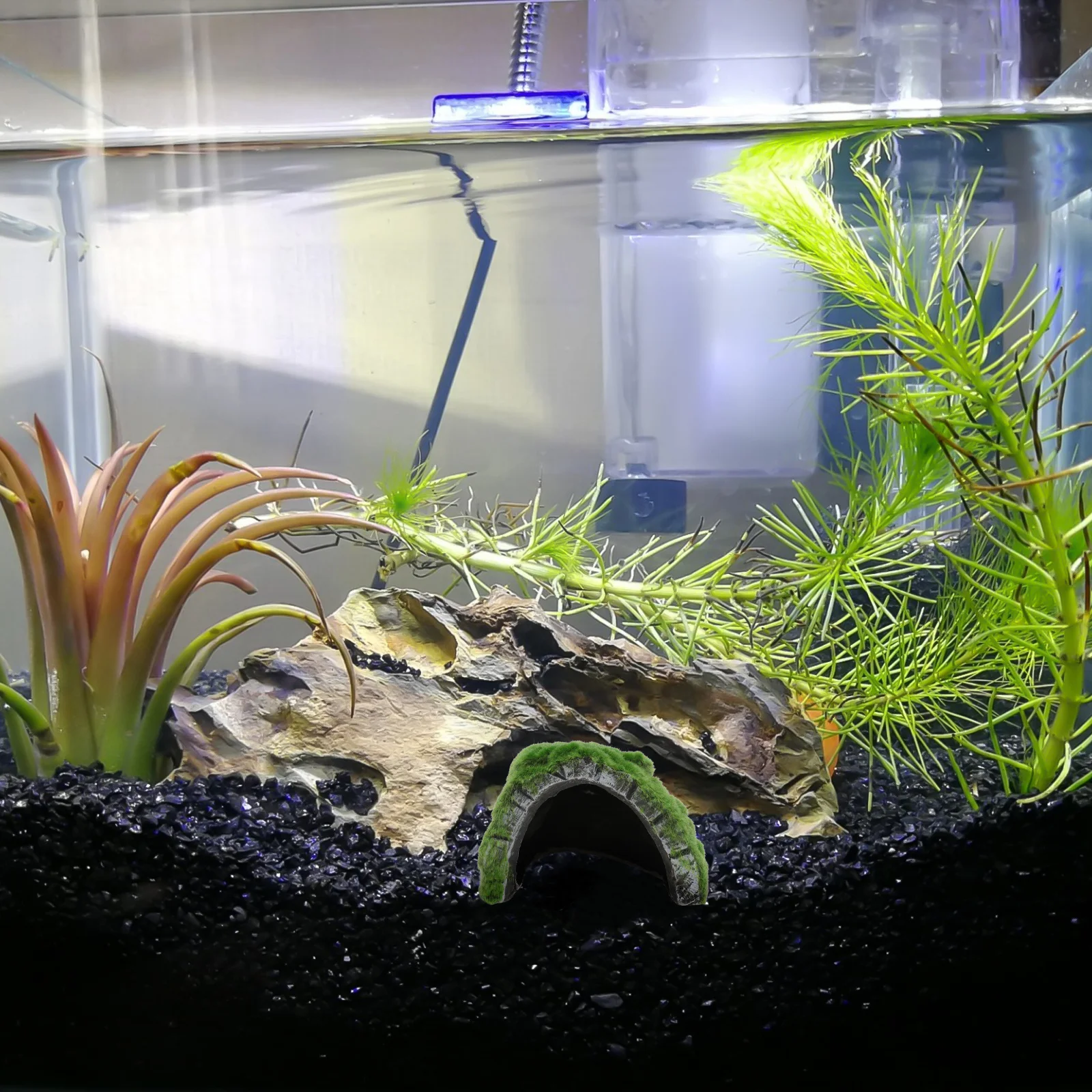 

1Pcs Reptile Hiding Cave Resin Made Turtle Habitat Moss Ornament Aquarium Freshwater Fish Eluding Decor Exquisite Brightness