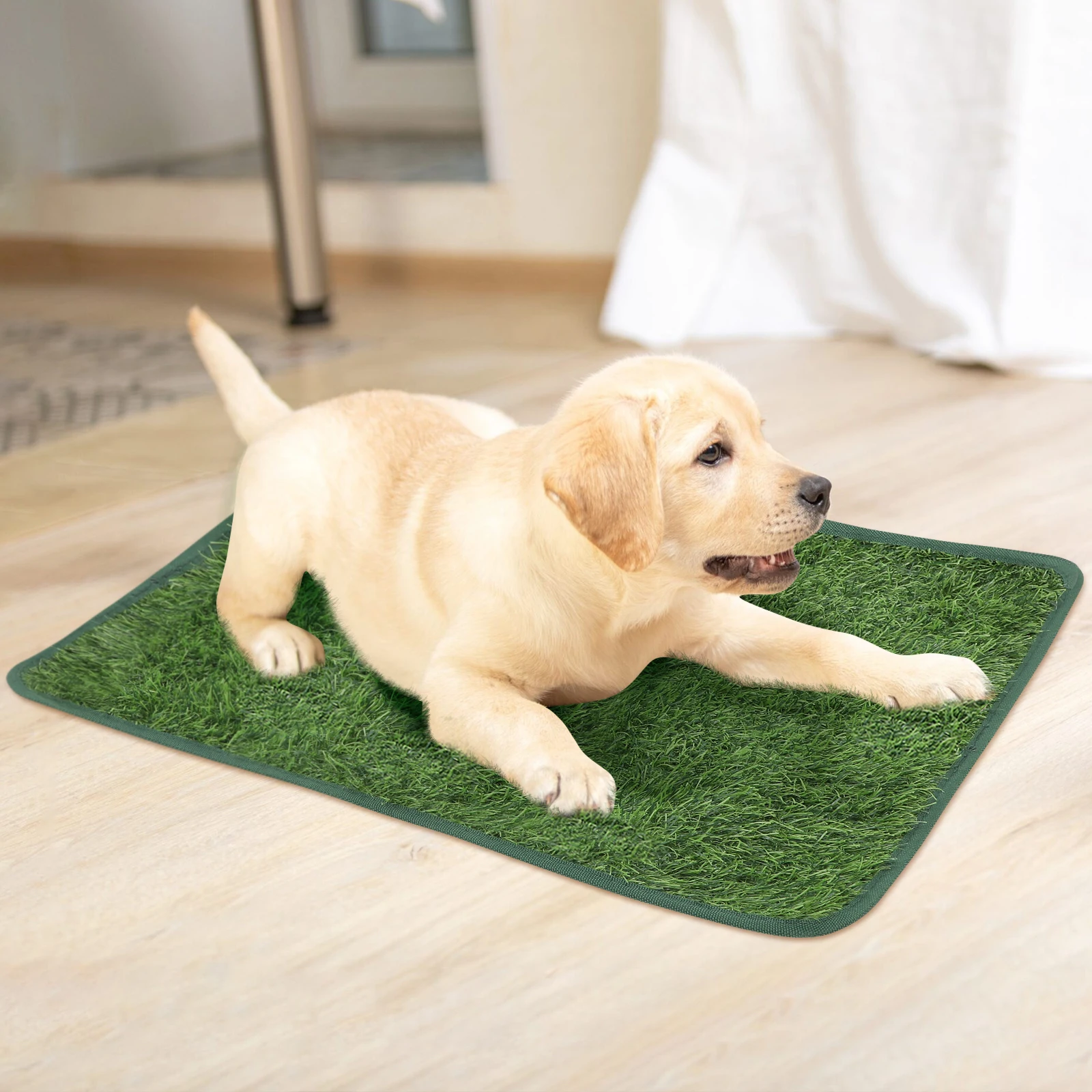 

Pet Pee Pad 60x90cm Premium Artificial Grass for Dogs Waterproof Tpr Base Portable Indoor Outdoor Training Mat for Puppies and