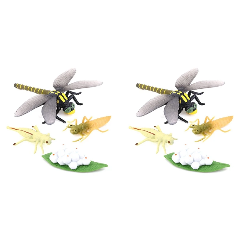 

2X жизненный цикл стрекозы, насекомых, жизненные цикла, модель роста, детский цикл роста животных, научные развивающие игрушки