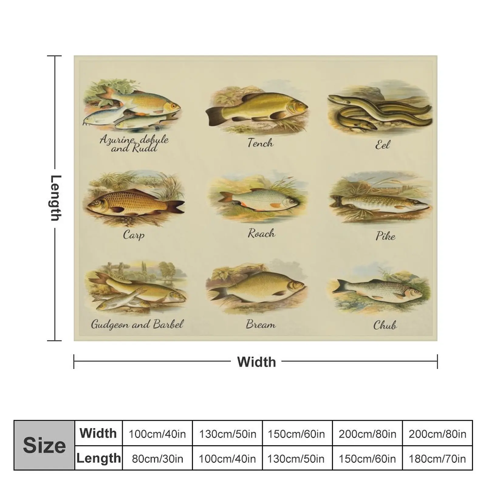 British Freshwater fish identification ID Throw Blanket Comforter warm winter Blankets