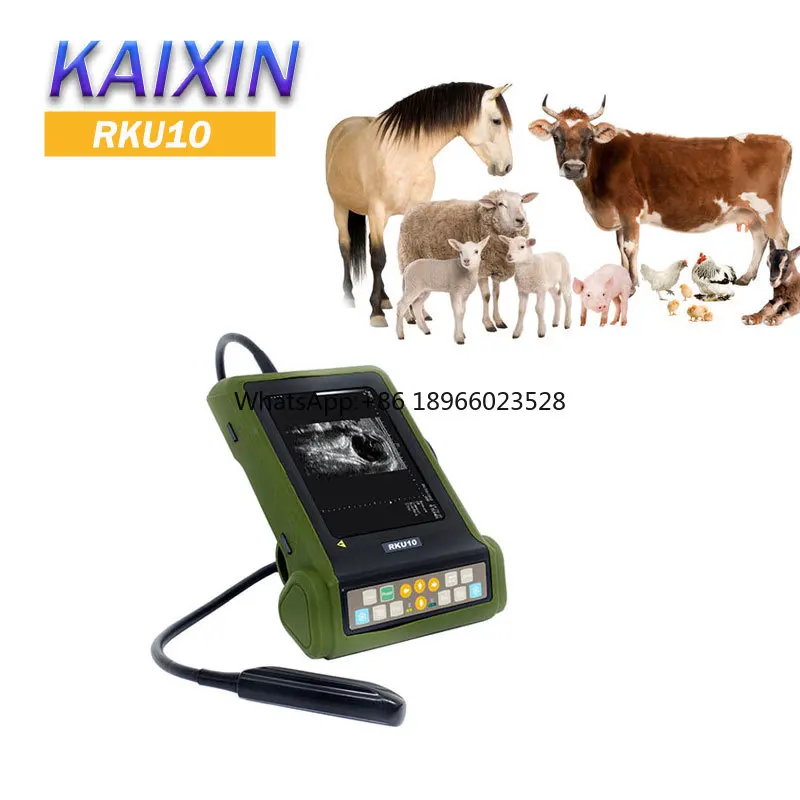 Full digital B mode ultrasonic diagnostic instruments RKU10 veterinary ultrasound