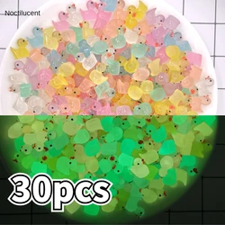 30pcs Mini Luminous Duck Dollhouse Cute Cartoon Duckling DIY Doll Accessories Miniatures Glow in The Dark Home Decor Figurines