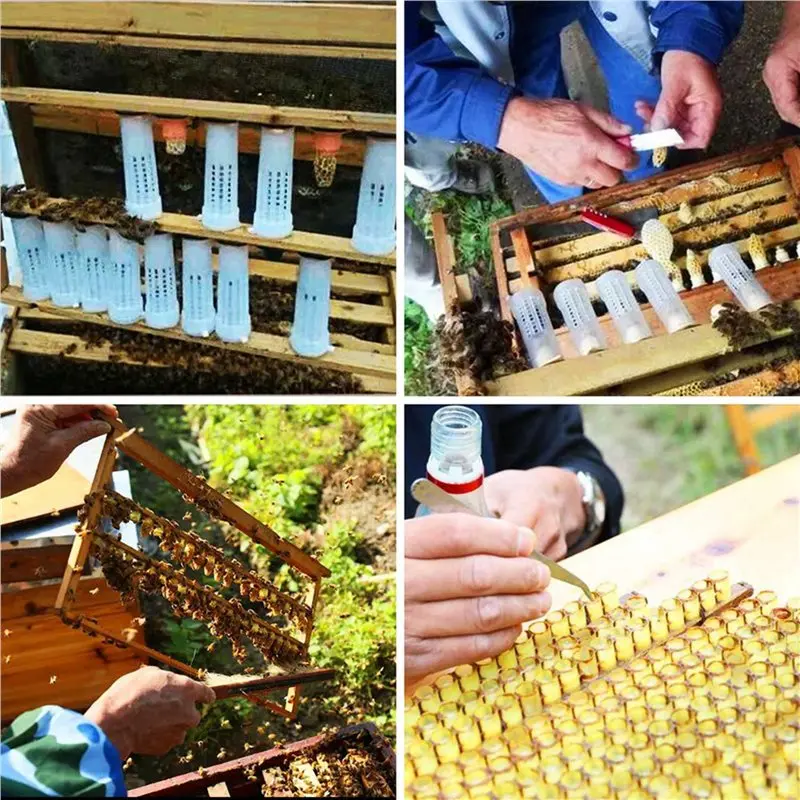 ABGH-150 PCS Queen Bee Roller Cage - Plastic Beekeeping Queen Cup Kit Queen Bee Roller Cage Back Cup Holder Beekeeping Tools