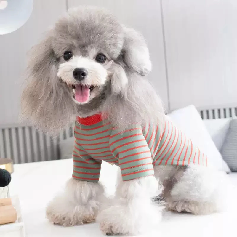 Disfraz para perro pequeño, Sudadera con capucha para gato, Chihuahua, Yorkies, cachorro, ropa para perrito, camisa, Pomerania, Shih, Tzu, caniche maltés, Bichon, ropa para mascotas
