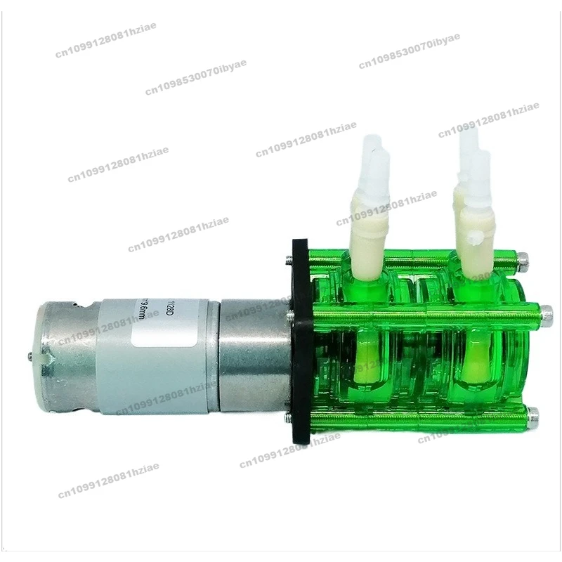 FOr Double Head 12V/24V Large Flow Corrosion-resistant Peristaltic Pump Easy-to-install Titration Pump BPT Tube 500ml/min * 2