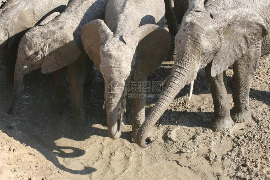 

Шины/колеса/покрышки для радиоуправляемых машин/грузовиков MJX Hyper Go 20208 MINI 1/20, запасные части