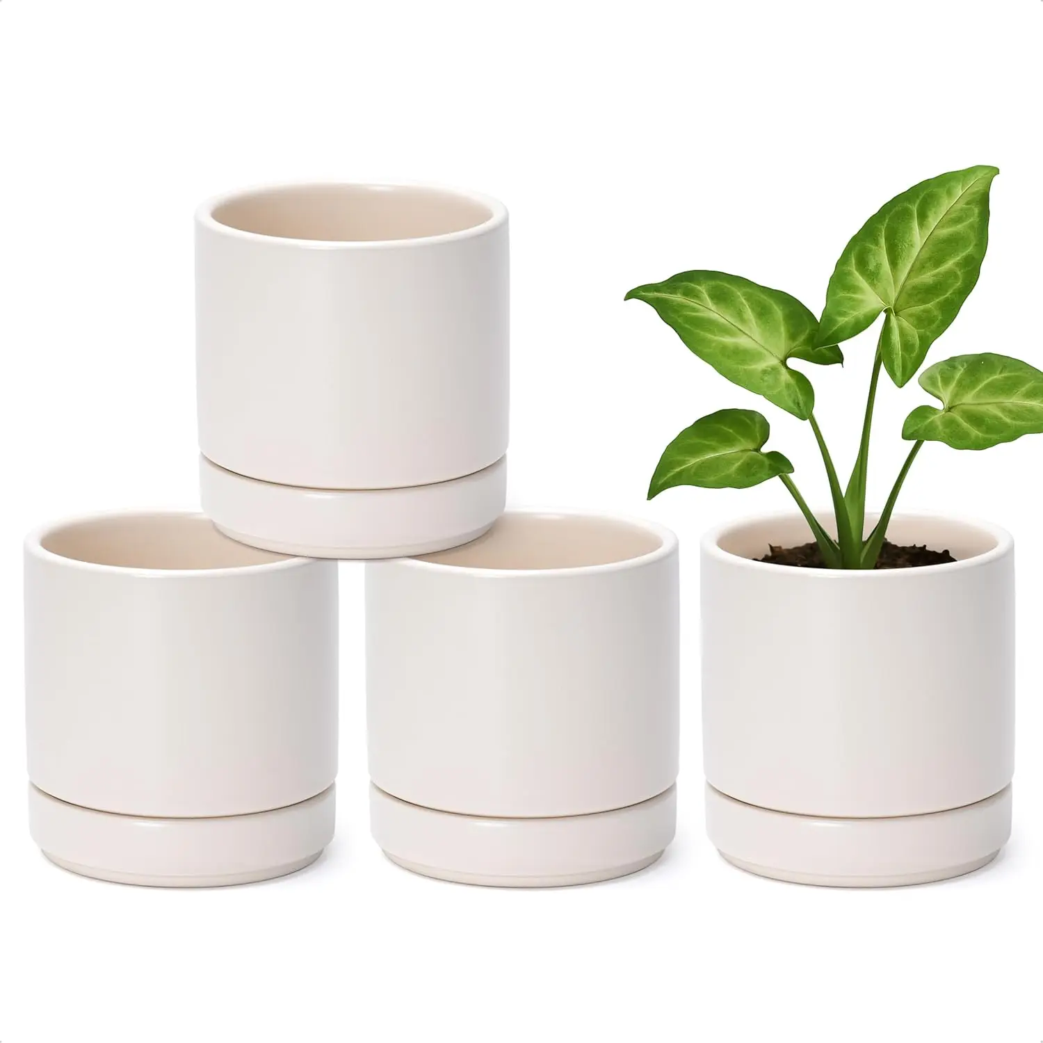 

Set of 4 Small Ceramic Plant Pots, 4.7 Inch Succulent Planter Pot for Plants with Drainage Hole and Saucer, Oatmeal, 94-