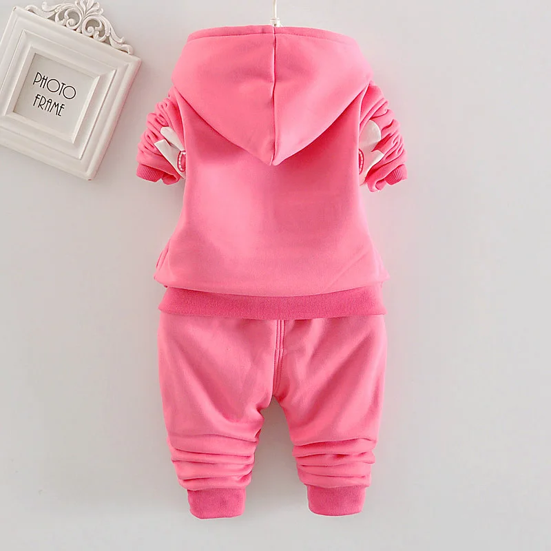 Kinder Mädchen Fleece-Gefütterter 3D-Gänseblümchen-Applikation Hoodie-Hosen-Anzug Kinder Warme Winterkleidung Set 80-120 – Detail 2