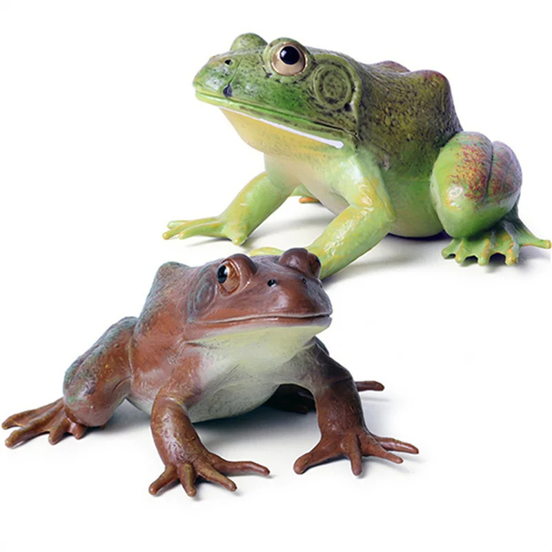 Realistic Plastic Ornaments Large Bullfrog Frog Tree Frog Children's Entity Movable Doll Model Collection Children Toys Children