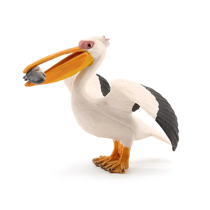 Simulation wildlife model children's toys birds gannets pelicans fish science and education props home ornaments