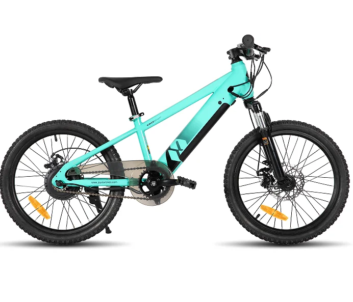 

20Inch Hot Selling Suspension Fork 350W 32 V5.2AH Electric Mountain Bike Carbon Steel Frame Disc Brake Bicycle for Kids