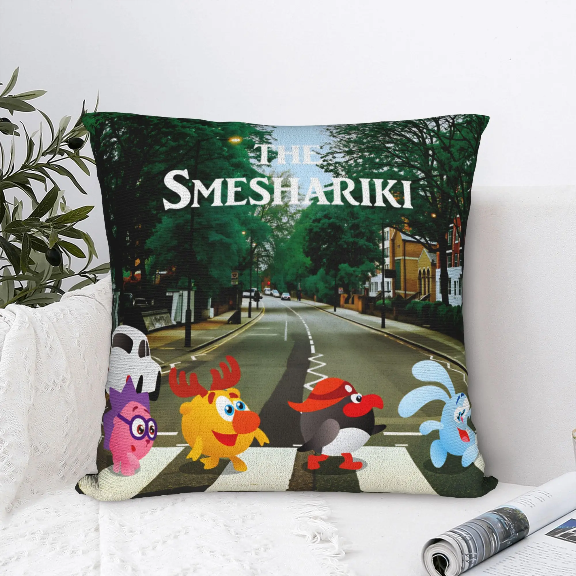 Cartoon S-Smeshariki Pillow Case  Cute Funny Pillow Cover Custom Pillowcases For Sofa Couch Bed Living Room