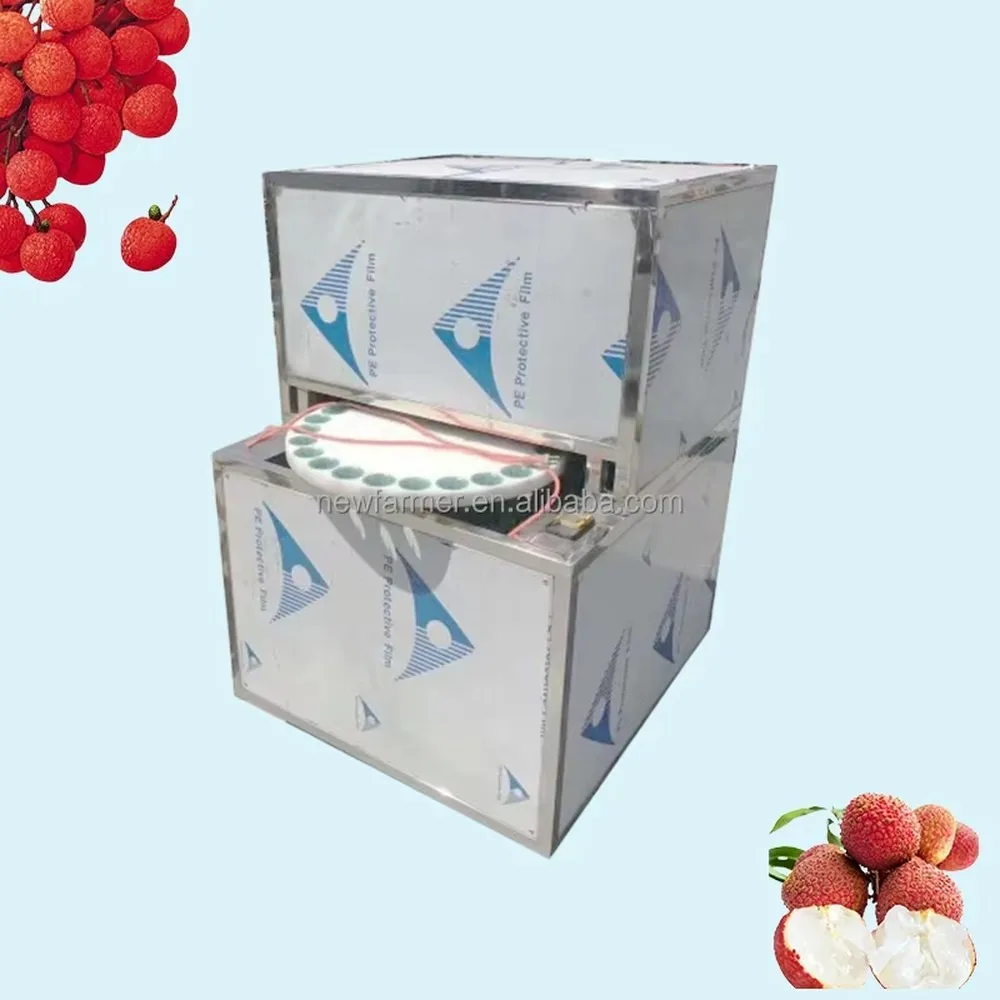Professional Lychee Pitting Machine Efficient Core Removing Tool for Commercial Use Durable Fruit Processing Equipment