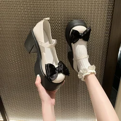 2024 Summer New Coarse Heel Mary Jane Single Shoes Fashion Bowknot Thick Heel Round Toe Pumps Trendy Street Lolita Shoes