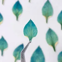 Pressed Black Grass Petal,nature Dry Flowers DIY Christmas Scented Candle Festival Party Facial Flora Decoration,1.5-2.5cm/12pcs