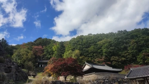 구매후기