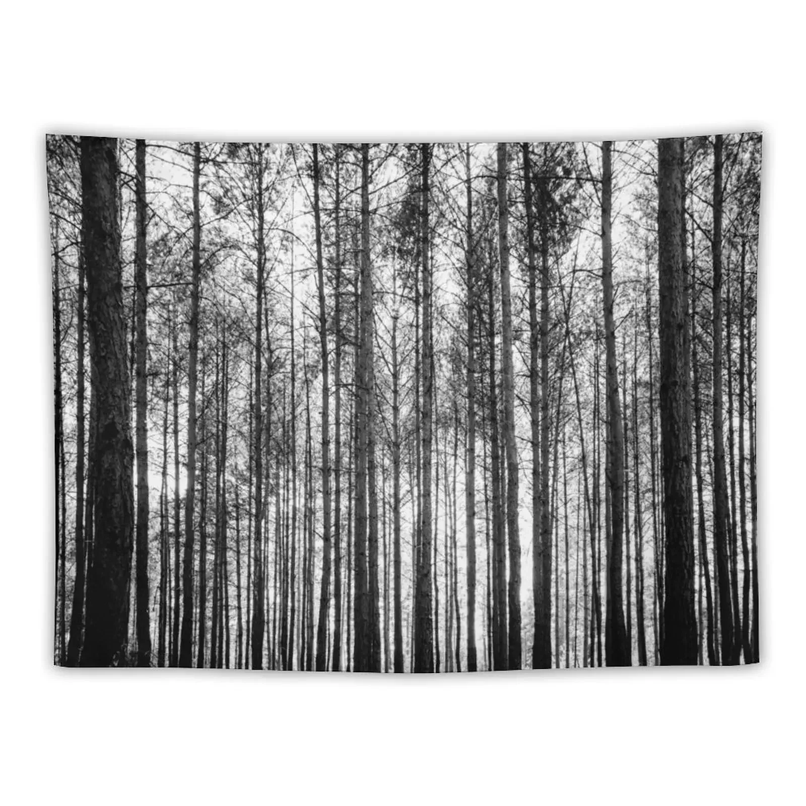 

trees in forest landscape - black and white nature photography Tapestry Decor Home Wall Decoration House Decor Tapestry