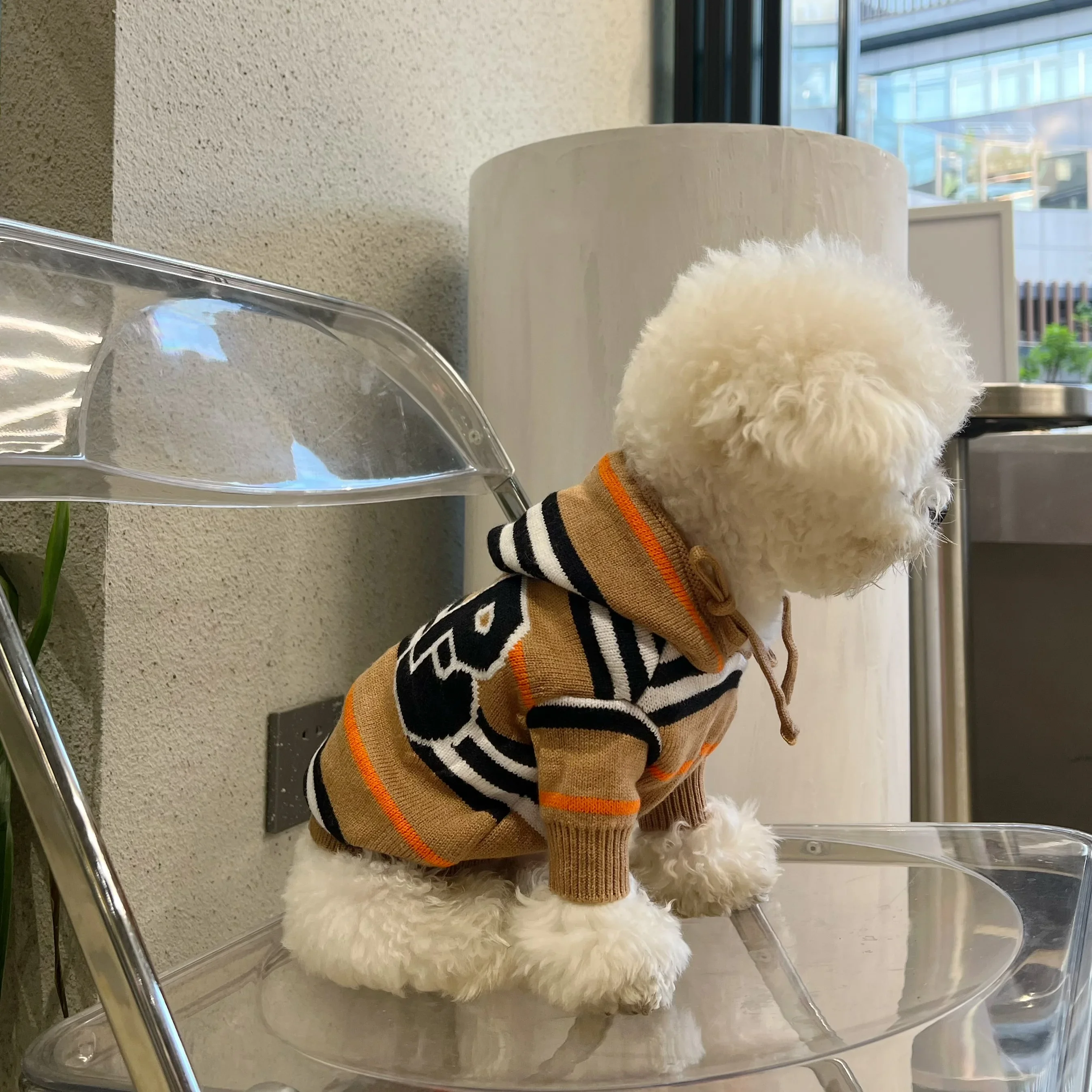 Thickened Warm Sweater Hoodie Pet Clothes for Dogs Teddy Bichon Schnauzer French Bulldog Corgi Autumn Winter Pet Apparel