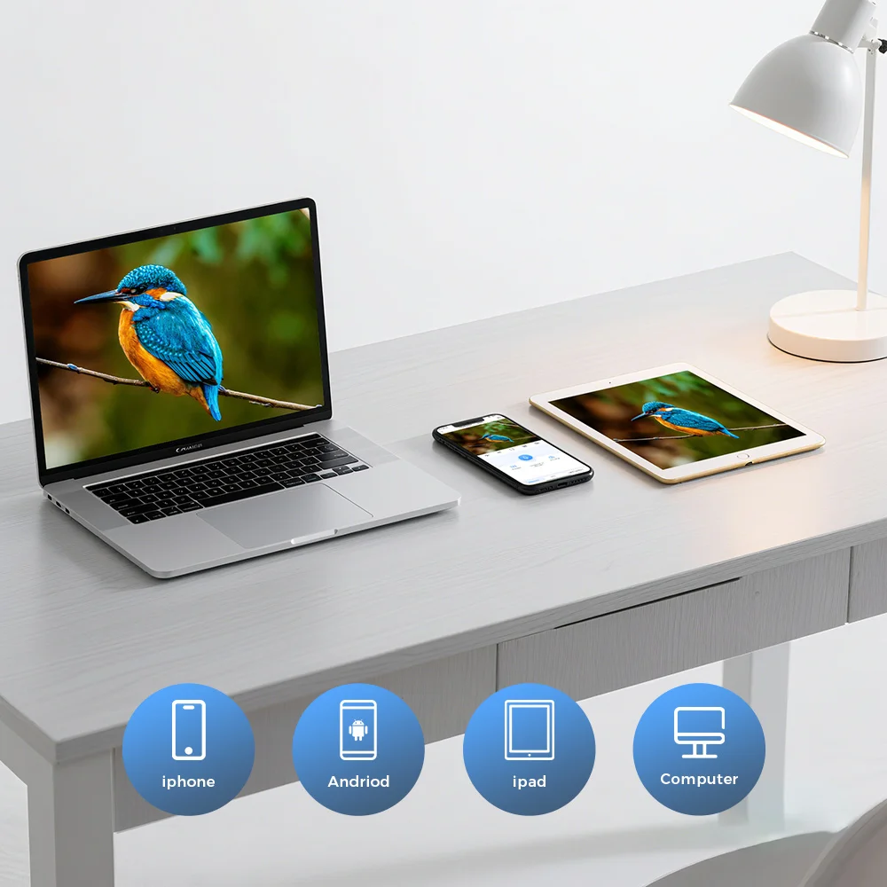 Smart WiFi Bird Feeder 3MP Ultra HD Camera Bird Identification Night Vision Two-Way Audio Motion Detection Bird Watching Device